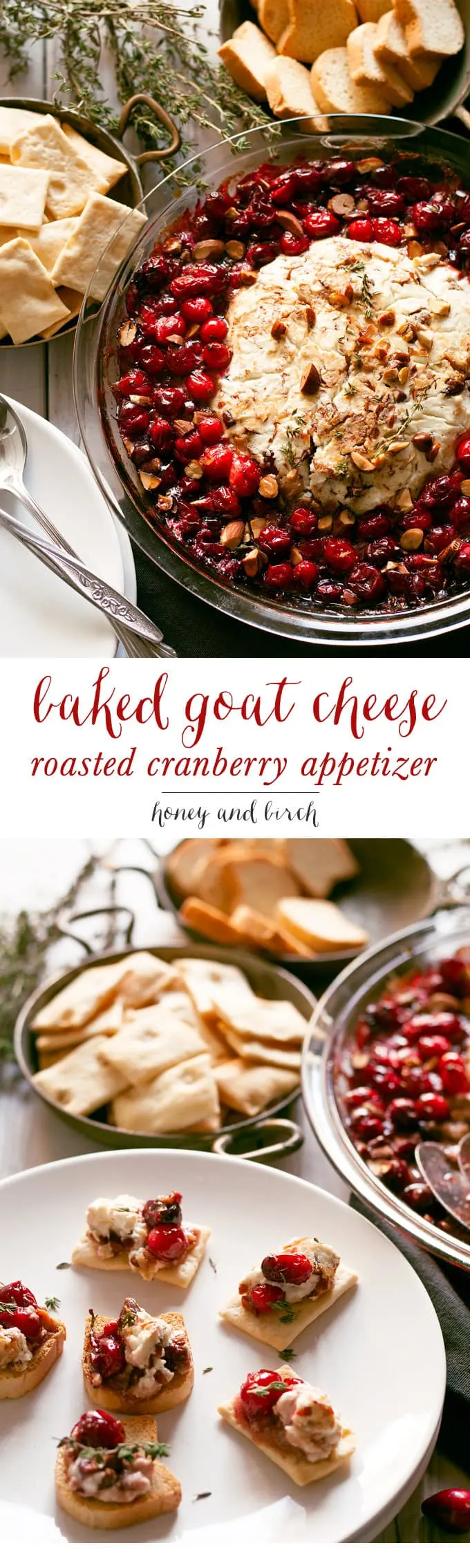 baked goat cheese roasted cranberry appetizer pin