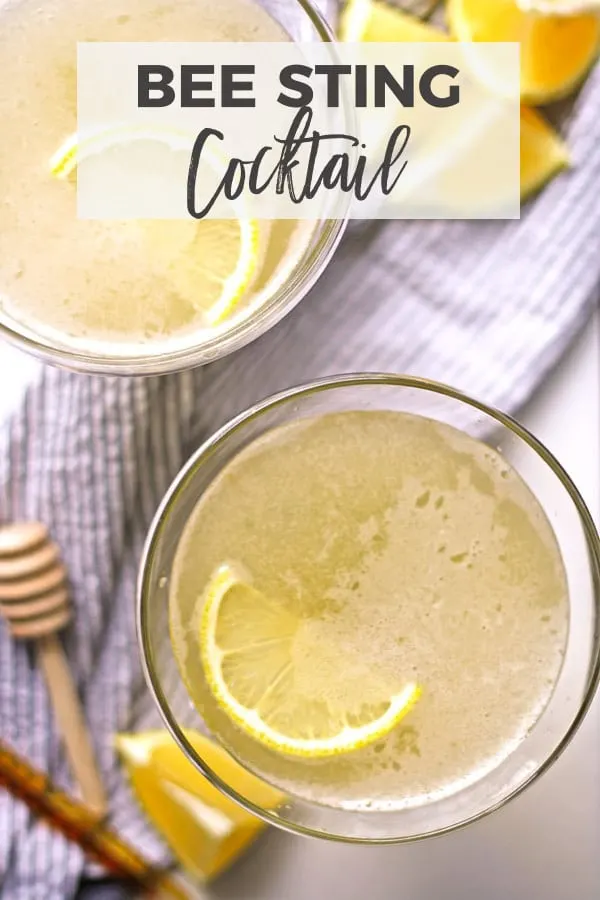 bee sting cocktail pinterest image