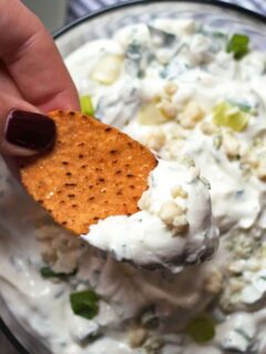 creamy blue cheese dip with a hand holding a chip
