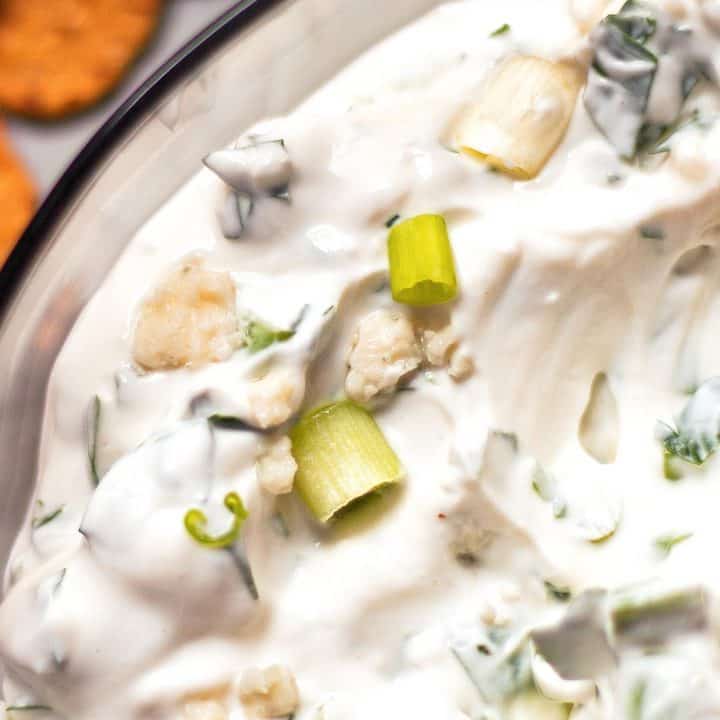 closeup photo of creamy blue cheese dip recipe