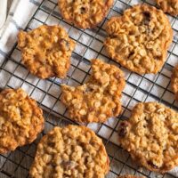 Add this recipe for oatmeal cranberry cookies to your holiday cookie rotation! They are easy to make, chewy and delicious! | honeyandbirch.com