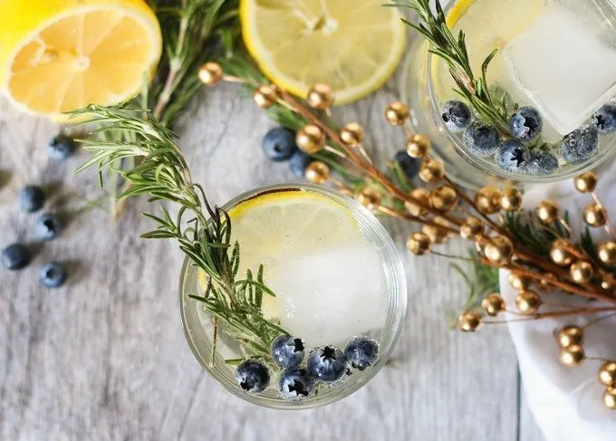 lemon blueberry vodka spritzer picture