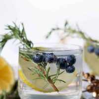 This lemon blueberry vodka spritzer is perfect for holiday parties, weekend brunches or girl's nights. If you are searching for a signature drink, your search is over thanks to this easy cocktail recipe! | honeyandbirch.com