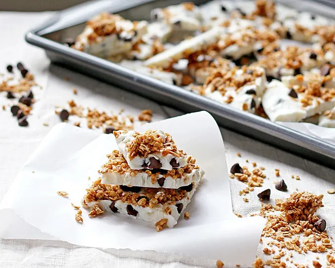 Chocolate chip granola frozen yogurt bark made with non-fat Greek yogurt and honey - the perfect quick snack or breakfast! Whip up a batch and keep it in your freezer. | honeyandbirch.com