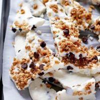 Chocolate chip granola frozen yogurt bark made with non-fat Greek yogurt and honey - the perfect quick snack or breakfast! Whip up a batch and keep it in your freezer. | honeyandbirch.com