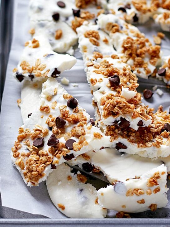Chocolate Chip Granola Frozen Yogurt Bark