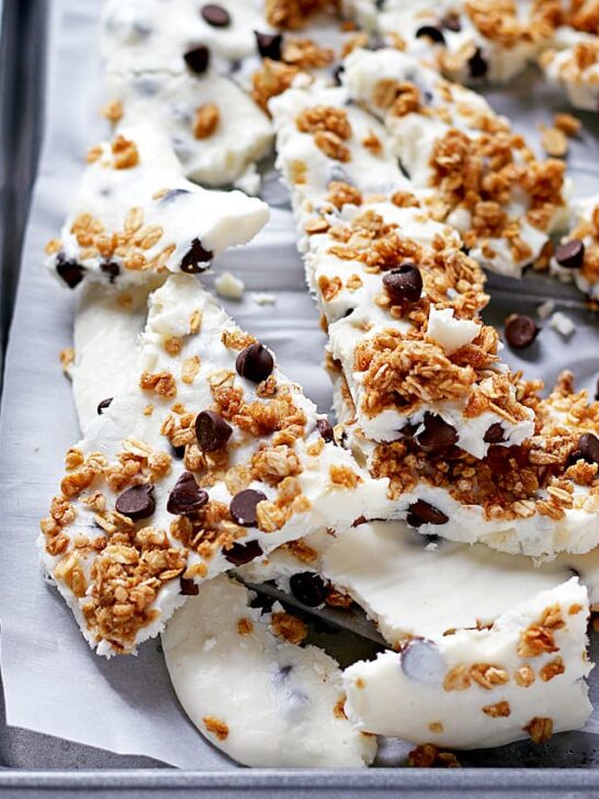 Chocolate chip granola frozen yogurt bark made with non-fat Greek yogurt and honey - the perfect quick snack or breakfast! Whip up a batch and keep it in your freezer. | honeyandbirch.com