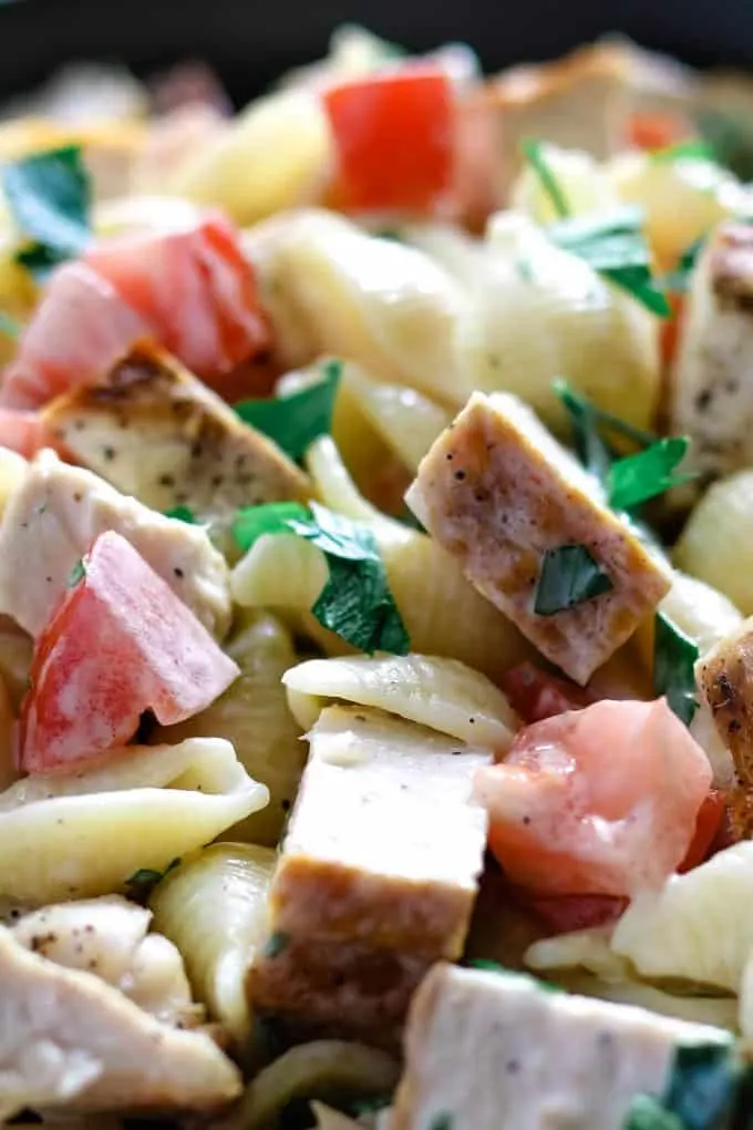 close up photo of grilled chicken ranch salad