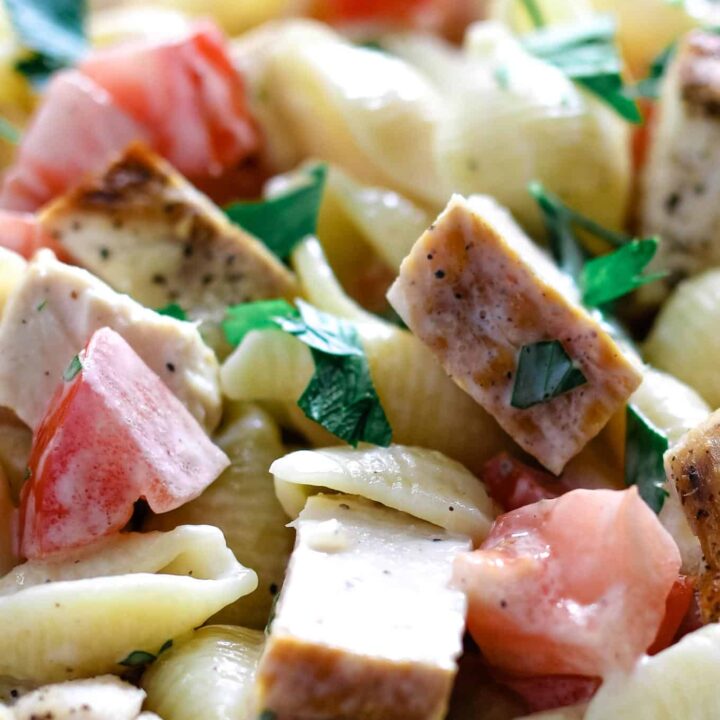 close up photo of grilled chicken ranch salad