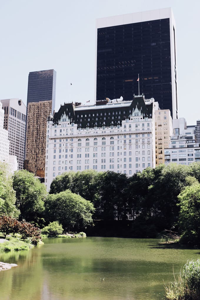 Central Park | Miele Culinary Adventure