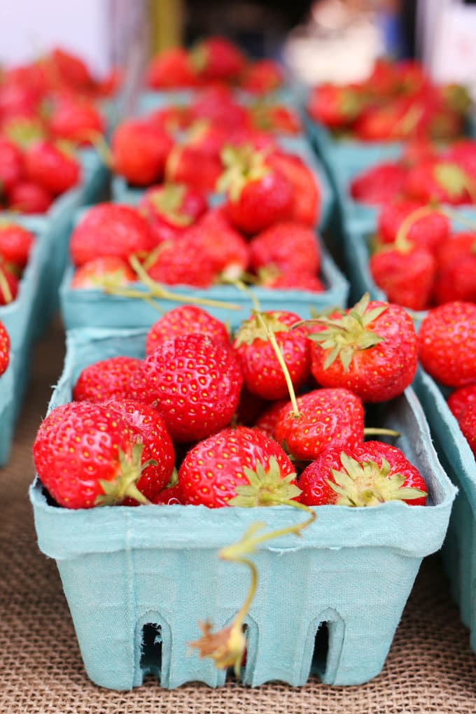 Union Square GreenMarket | Miele Culinary Adventure