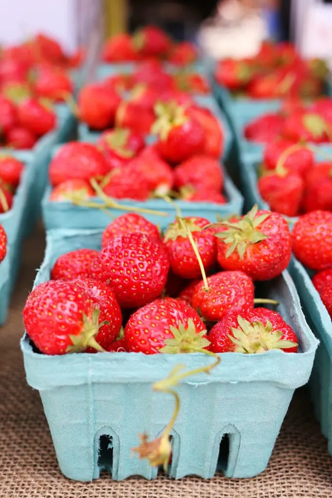 Union Square GreenMarket | Miele Culinary Adventure