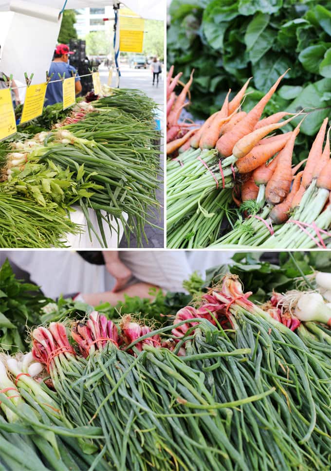 Union Square GreenMarket | Miele Culinary Adventure