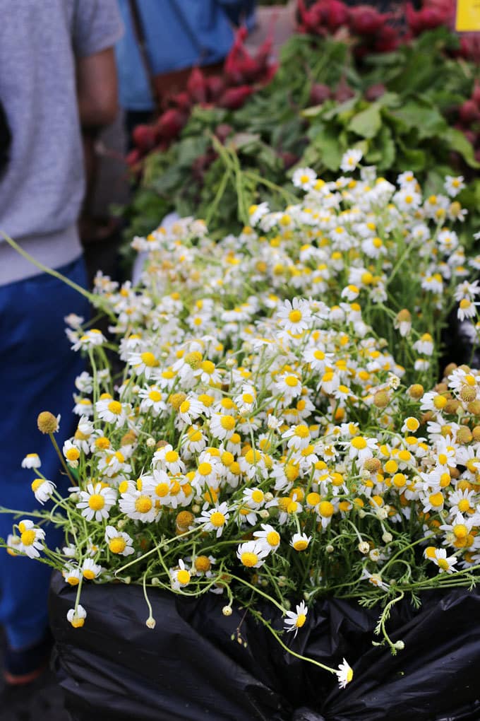 Union Square GreenMarket | Miele Culinary Adventure