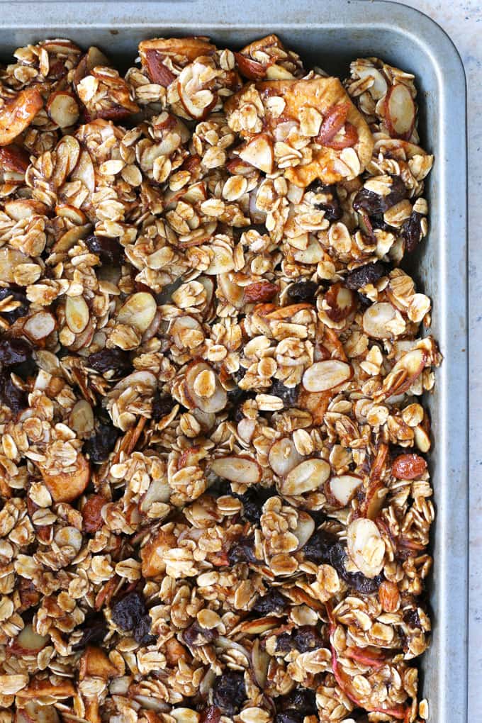 Apple cinnamon raisin granola is the perfect homemade snack or breakfast! It's super easy to make and delicious! | honeyandbirch.com