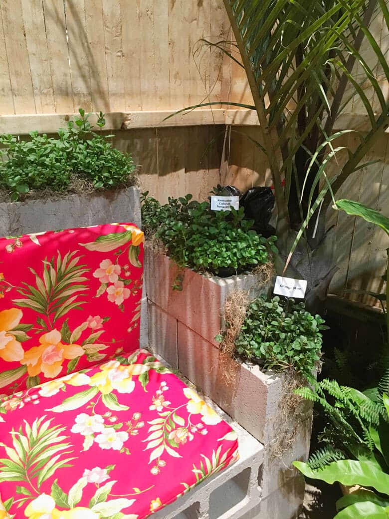 Seating made out of concrete blocks and filled with herbs