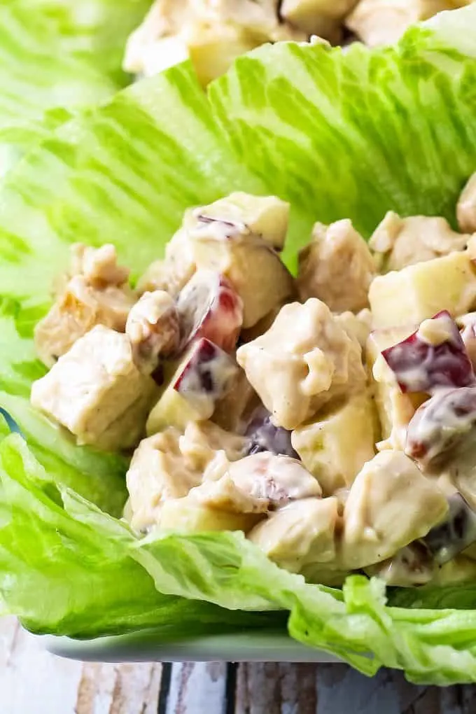 closeup photo of chicken salad