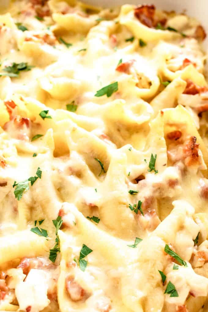 close up photo of stuffed shells recipe