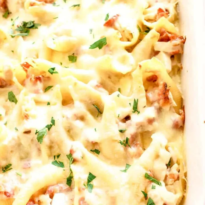 chicken bacon Alfredo stuffed shells in a white casserole dish