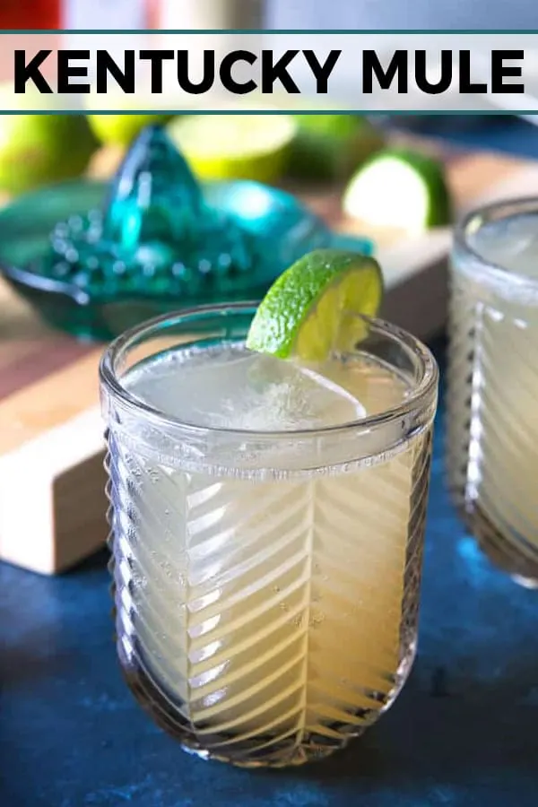 Kentucky Mule recipe pin
