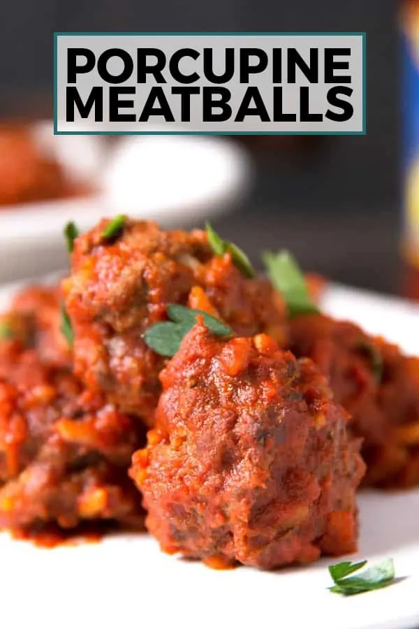 porcupine meatballs pin