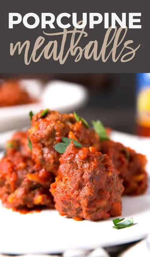 porcupine meatballs pin