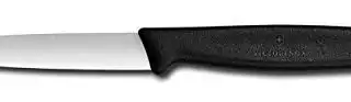 Victorinox 3.25 Inch Paring Knife with Straight Edge, Spear Point, Black