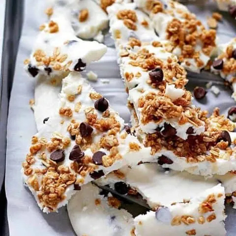 Chocolate Chip Granola Frozen Yogurt Bark