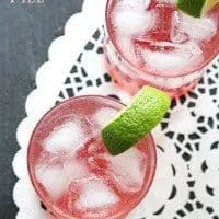 Raspberry Gin Spritzer