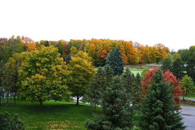 Traverse City in autumn