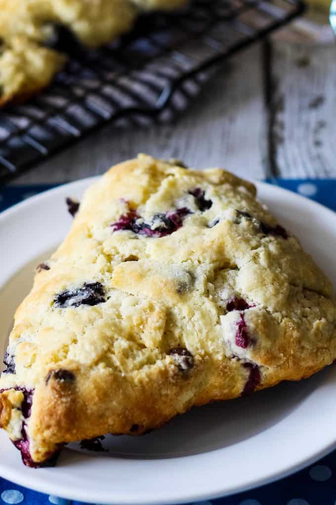 close up photo of blueberry chocolate scone