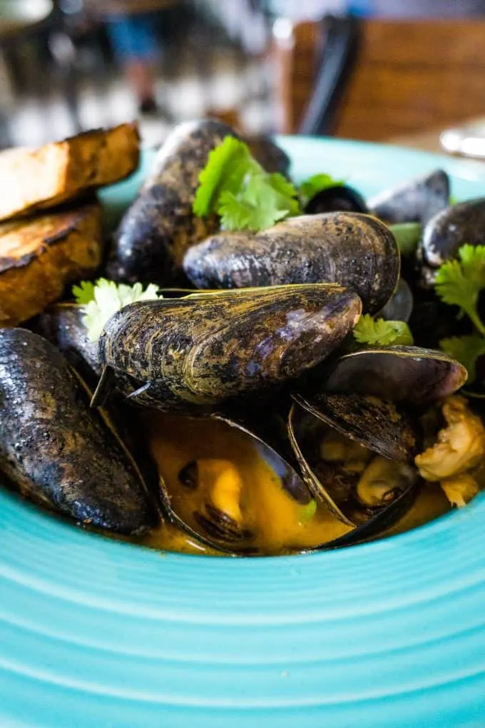 The Best Downtown Charleston Restaurants - The Darling Oyster Bar mussels