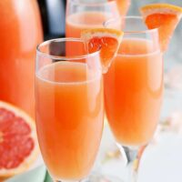 forward facing photo of grapefruit mimosas garnished with fresh grapefruit