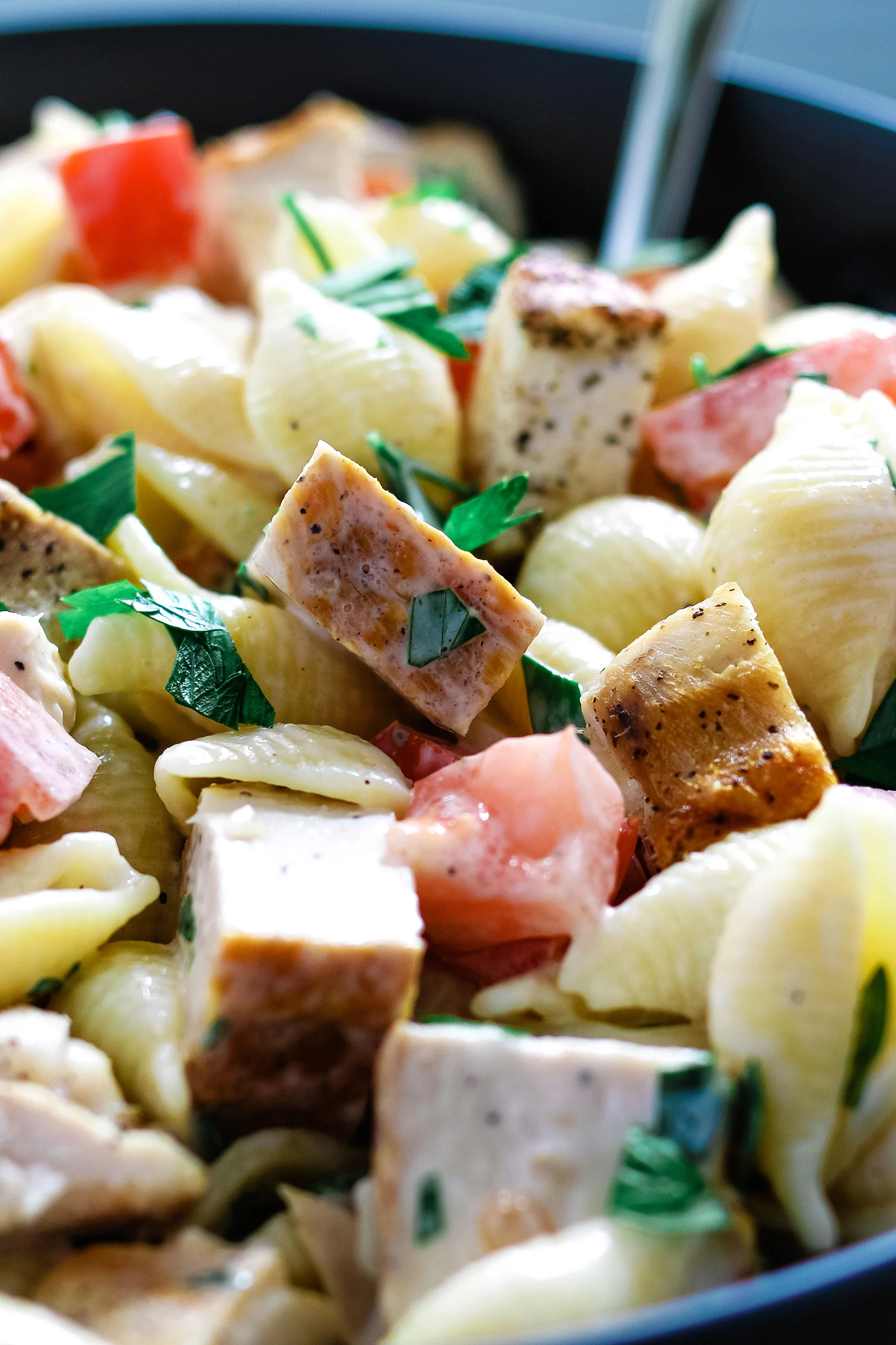 closeup of pasta shells and chicken tossed in ranch dressing