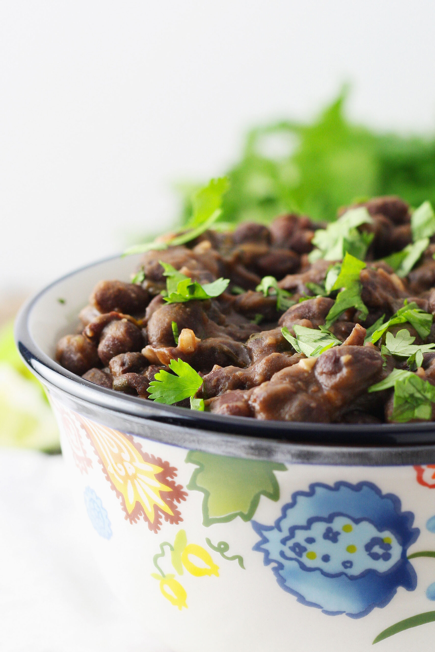 seasoned black beans topped with fresh cilantro in a colorful bowl